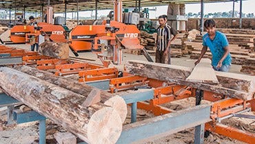 Kolkata Timber