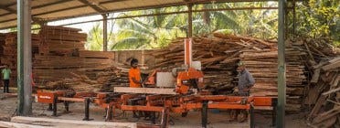 Sri Lankan Timber Yard Busy with Domestic Orders